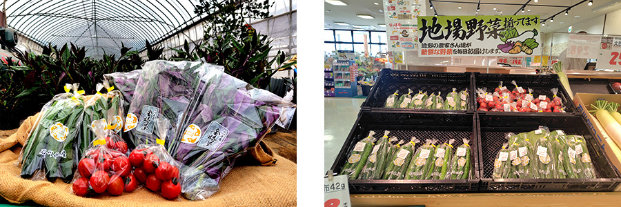 栽培された野菜はスーパー等で販売
